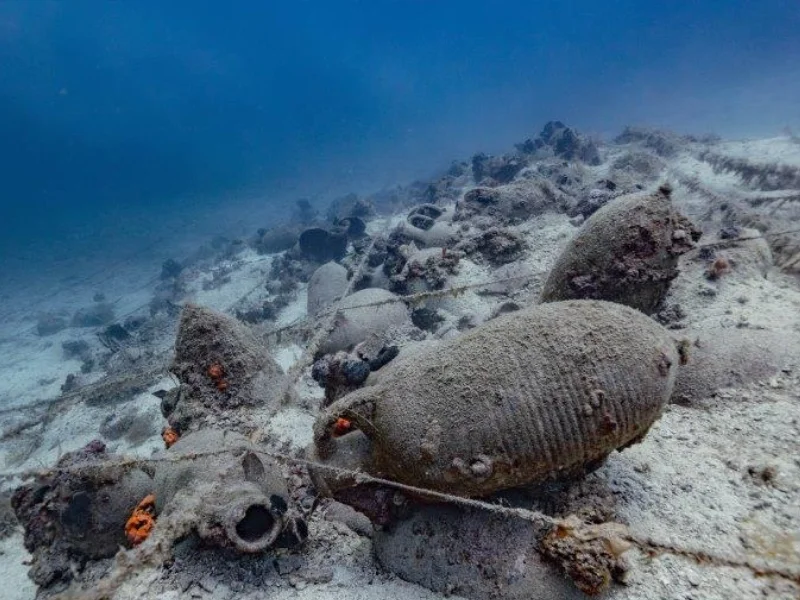 eua-about-eea-03 Snowboarding