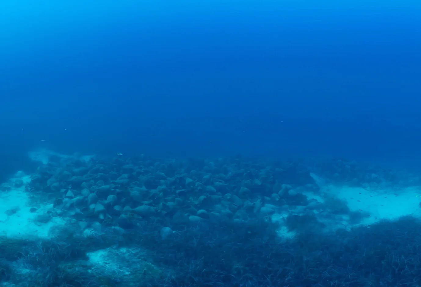 eua-alonnisos-general-view