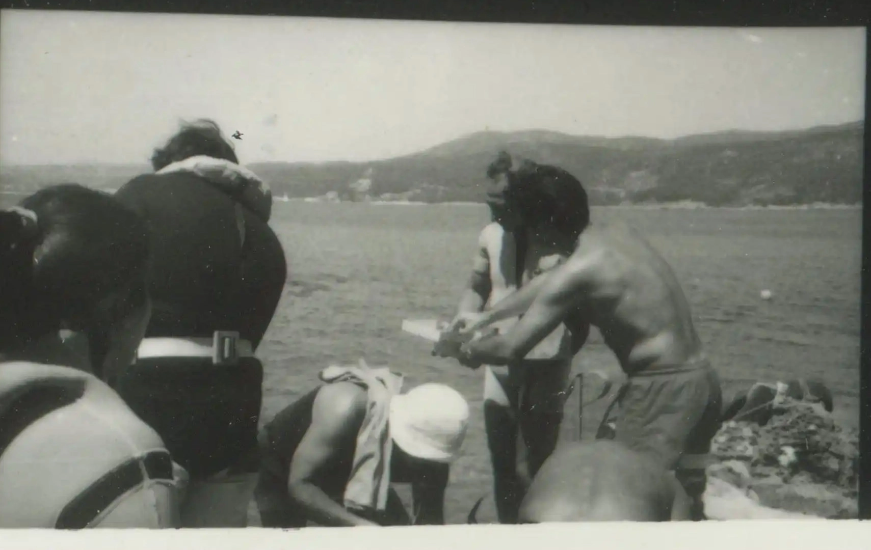 eua-alonnisos-peristera-erevna001