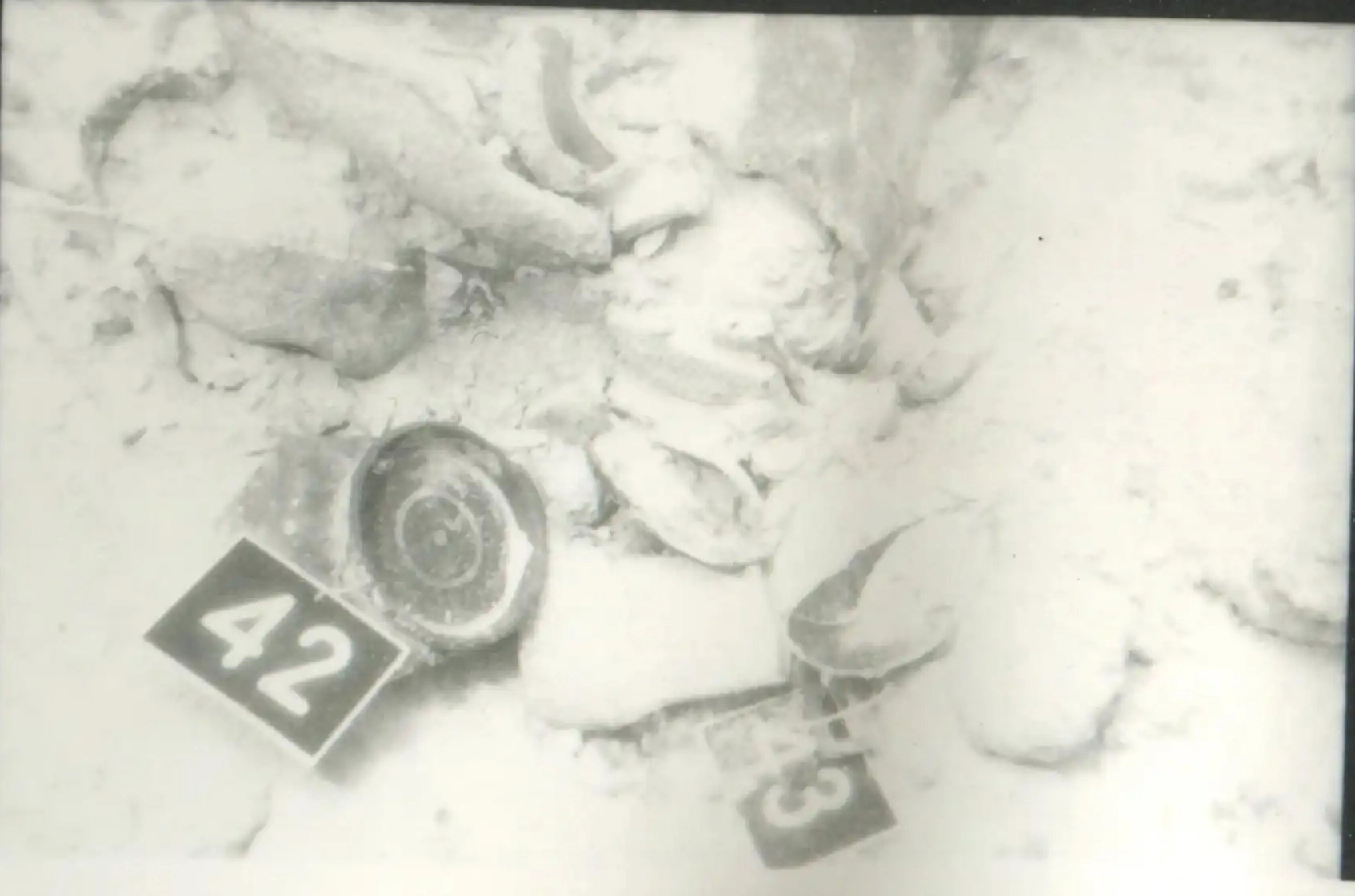 eua-alonnisos-peristera-erevna003