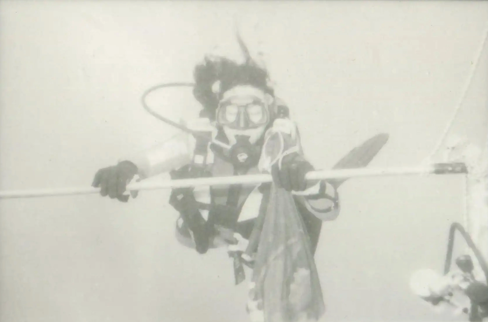 eua-alonnisos-peristera-erevna006