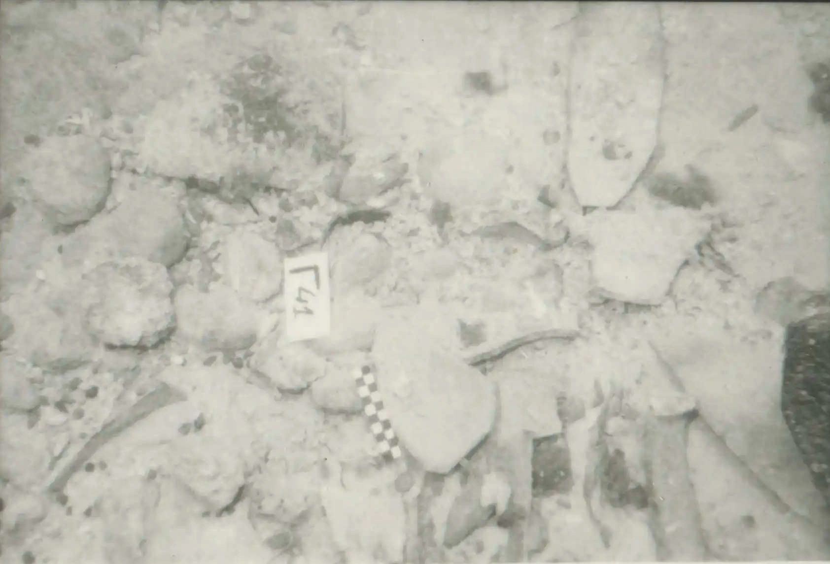 eua-alonnisos-peristera-erevna007