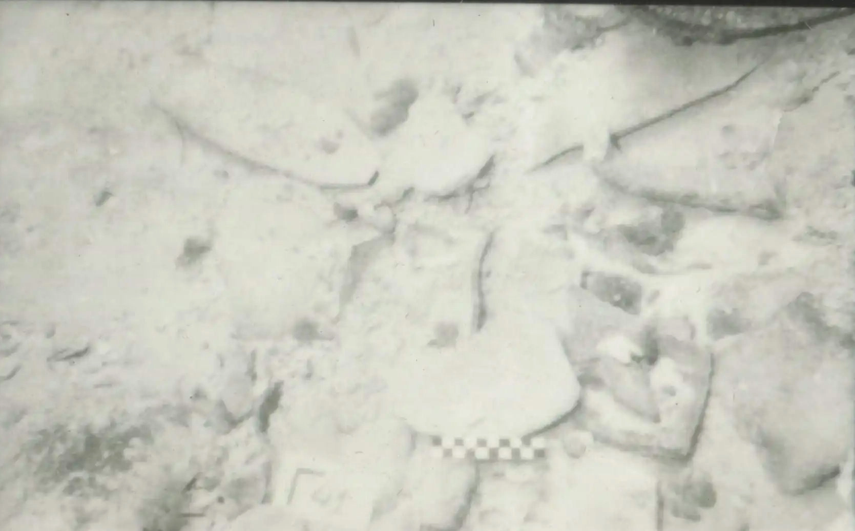 eua-alonnisos-peristera-erevna008