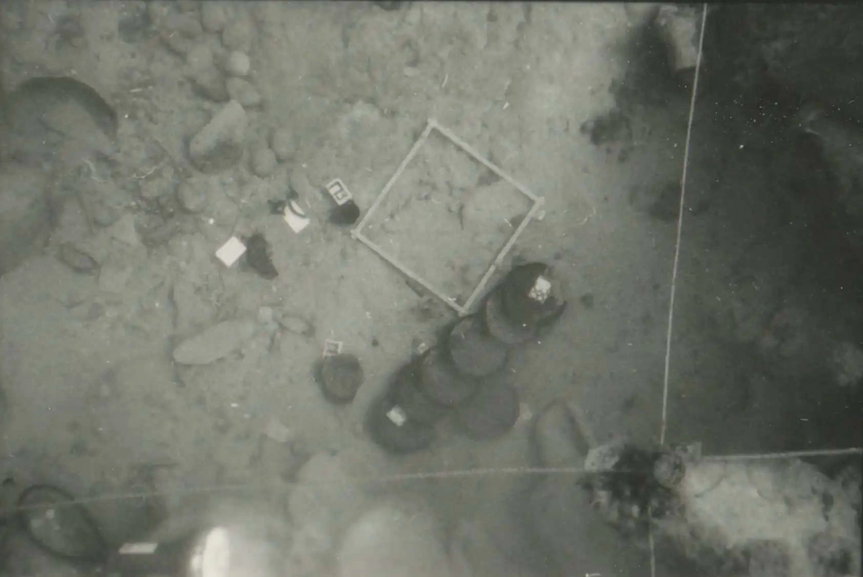 eua-alonnisos-peristera-erevna011