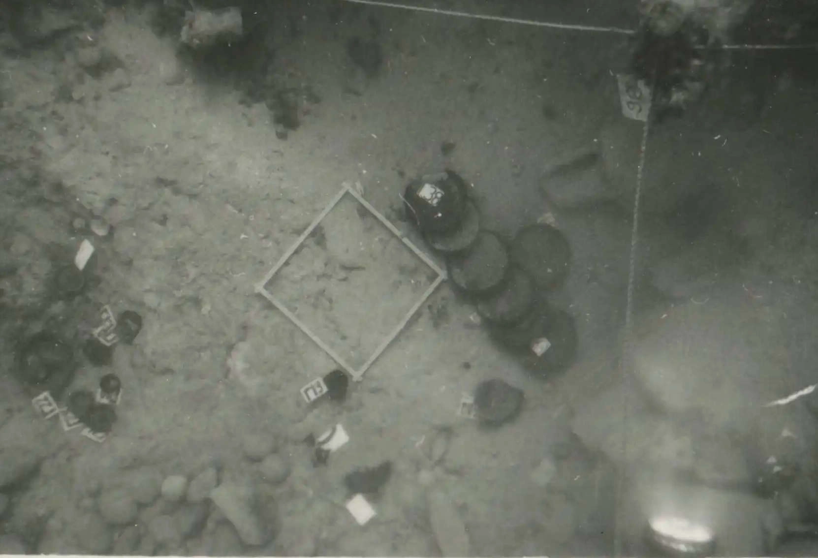 eua-alonnisos-peristera-erevna012