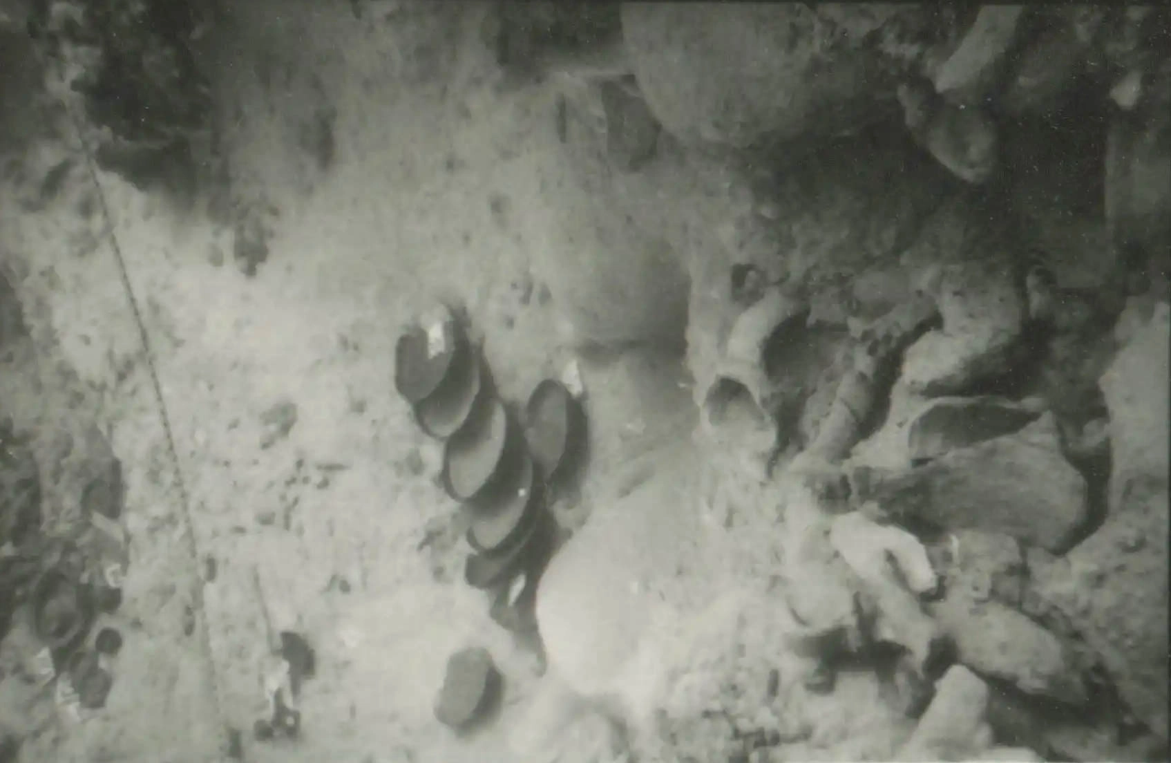 eua-alonnisos-peristera-erevna015