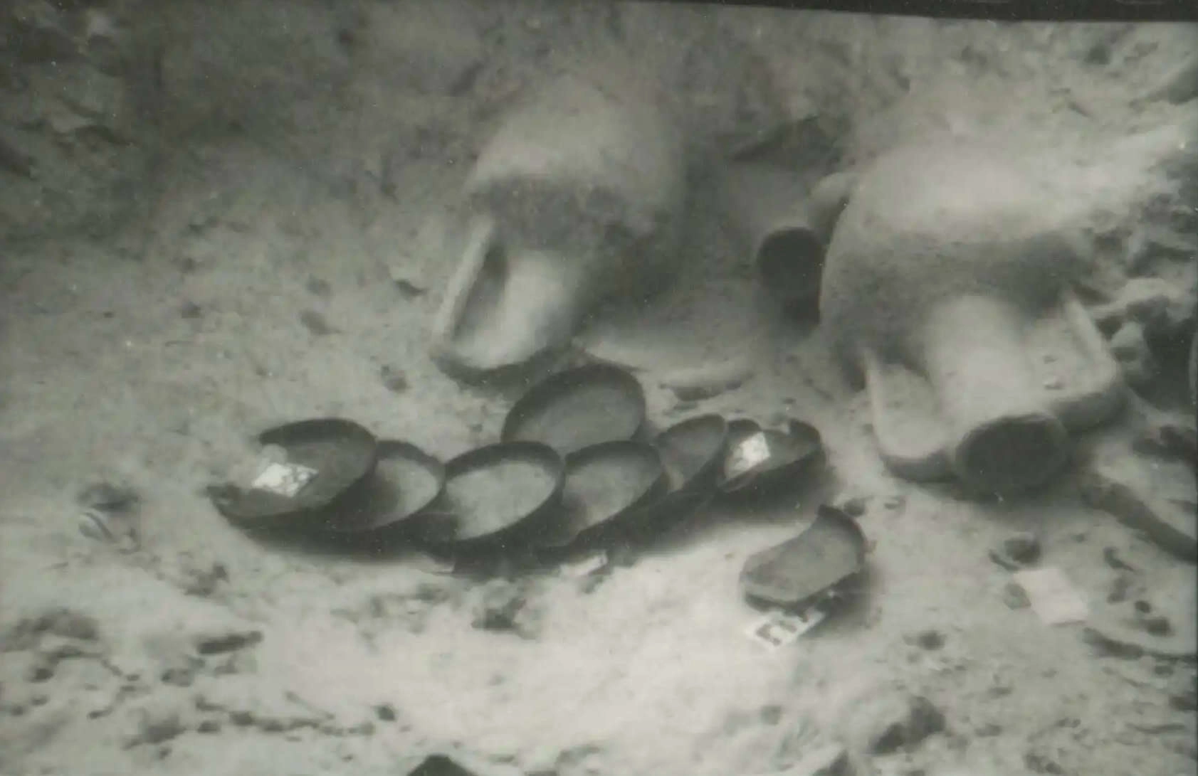 eua-alonnisos-peristera-erevna018