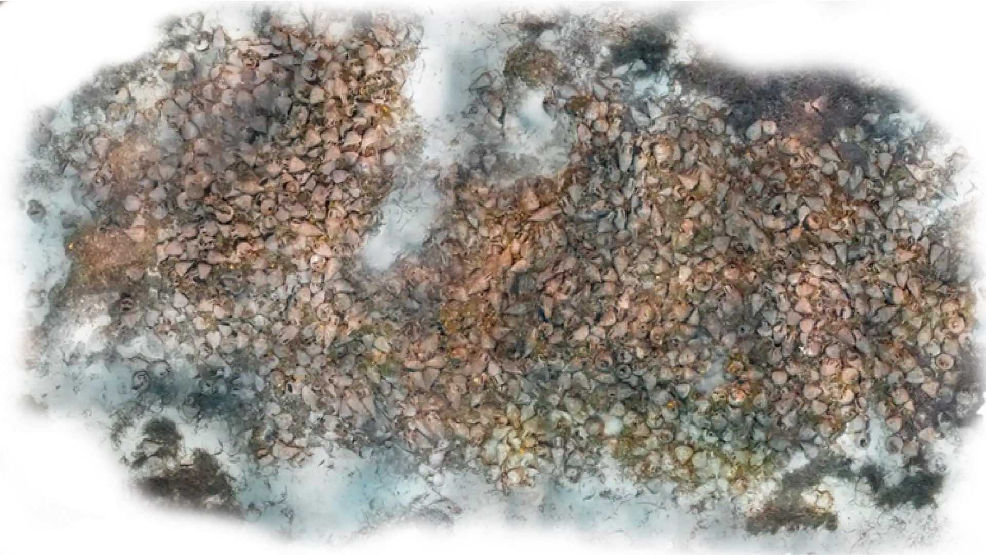 eua-alonnisos-peristera-typology-amphora eua-alonnisos-peristera-typology-amphora