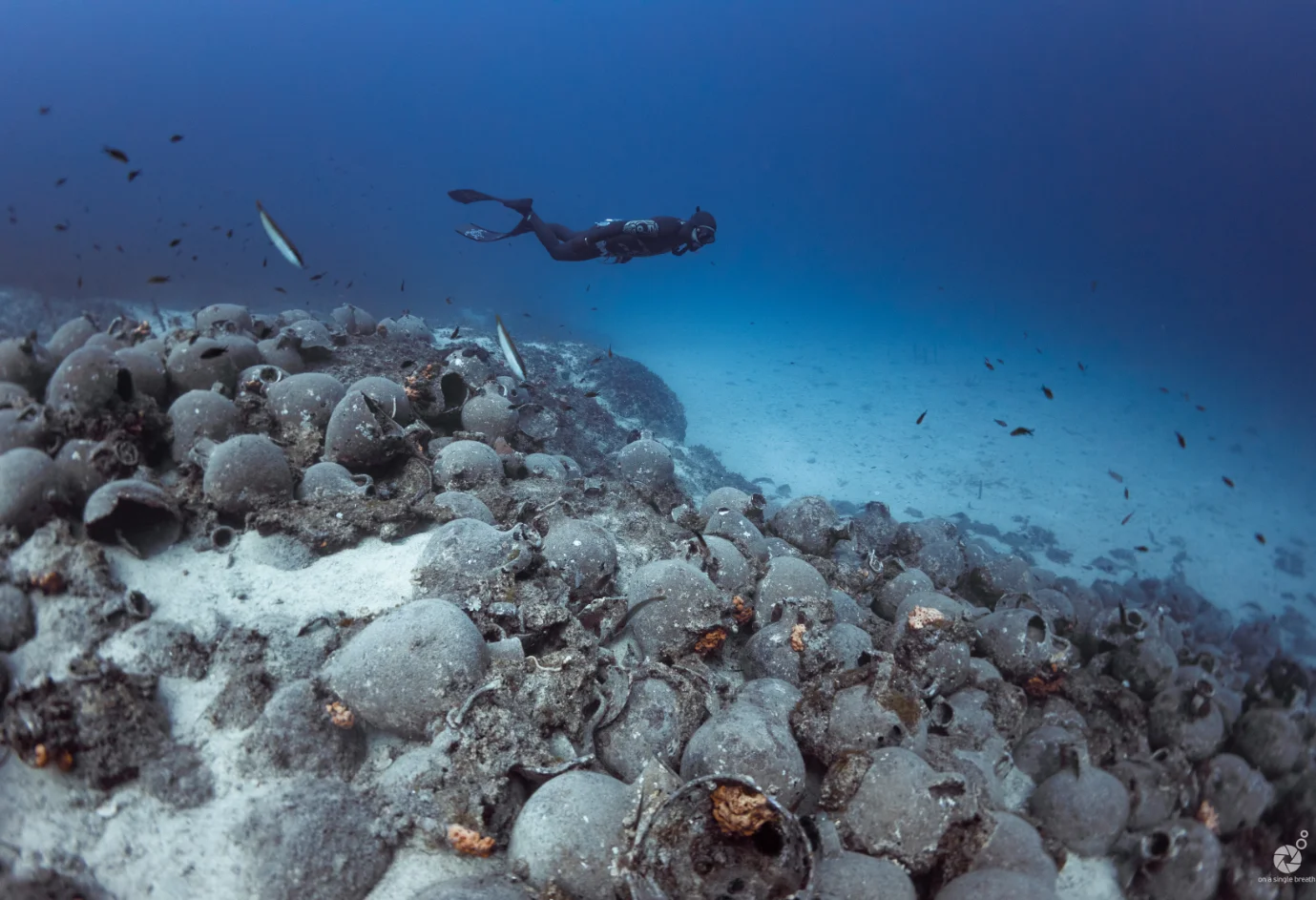 eua-faggrou-expedition