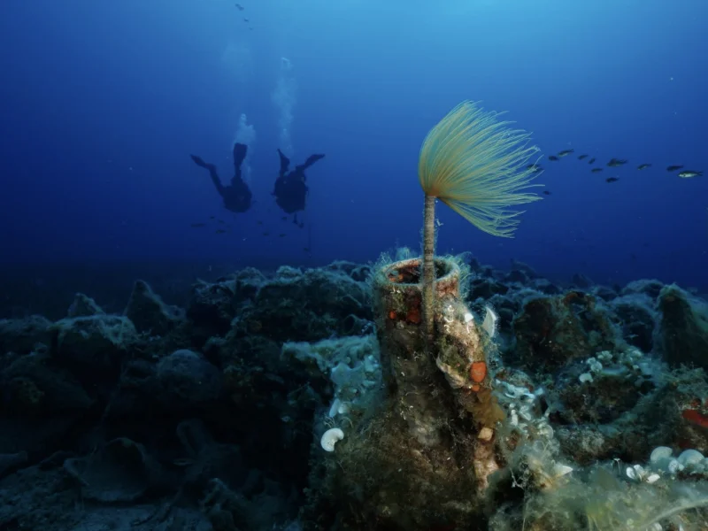 eua-intro-02 Extreme Sports Biking