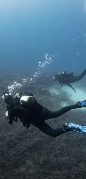 eua-main-page-divers Extreme Sports Bike