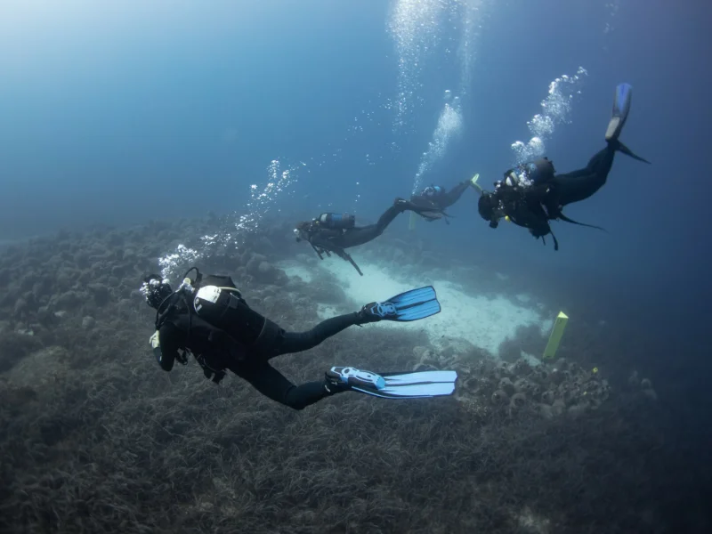 eua-procedures-for-diving-centers-divemasters Snowboarding