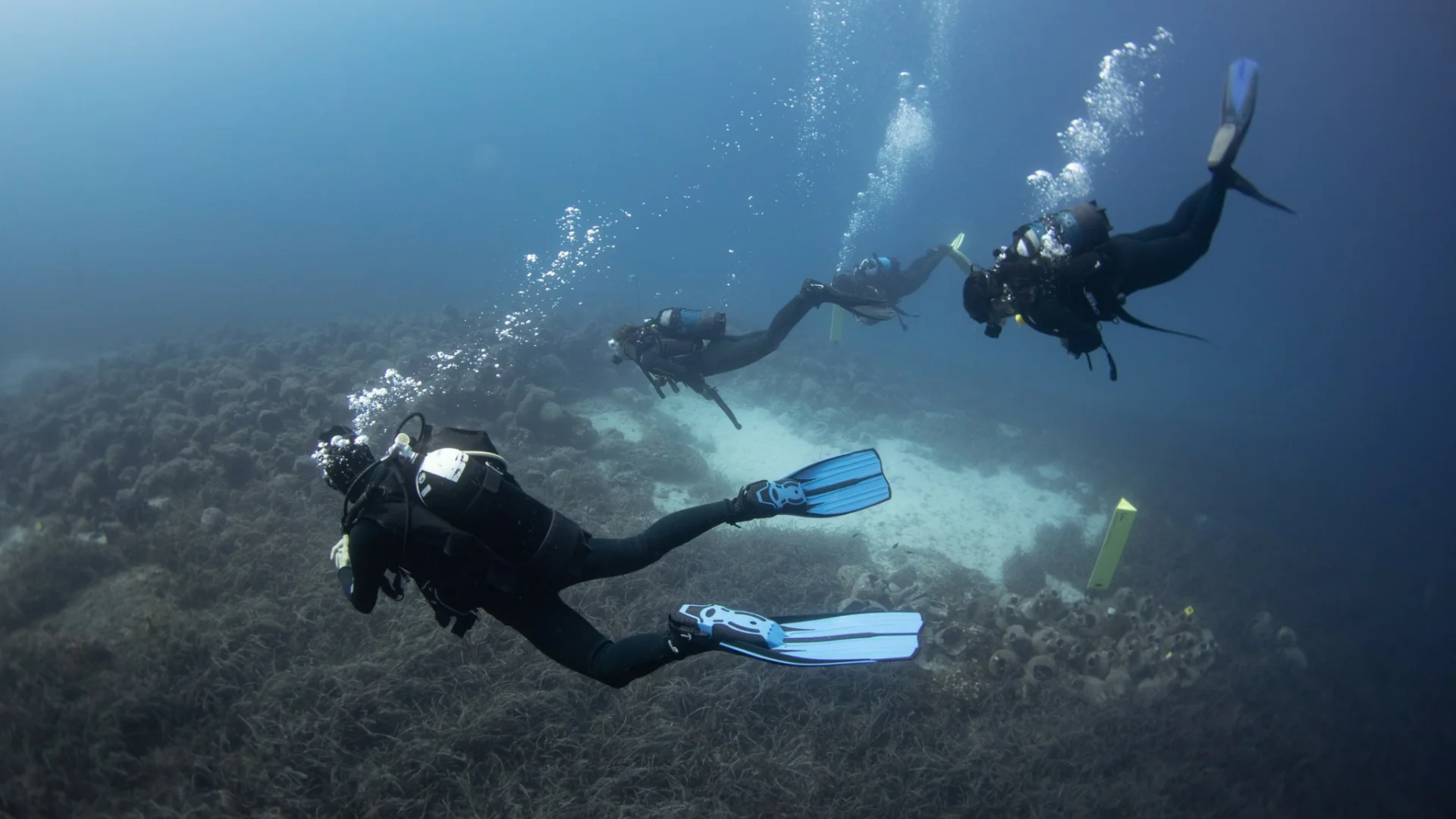 eua-procedures-for-visitors-diving-group