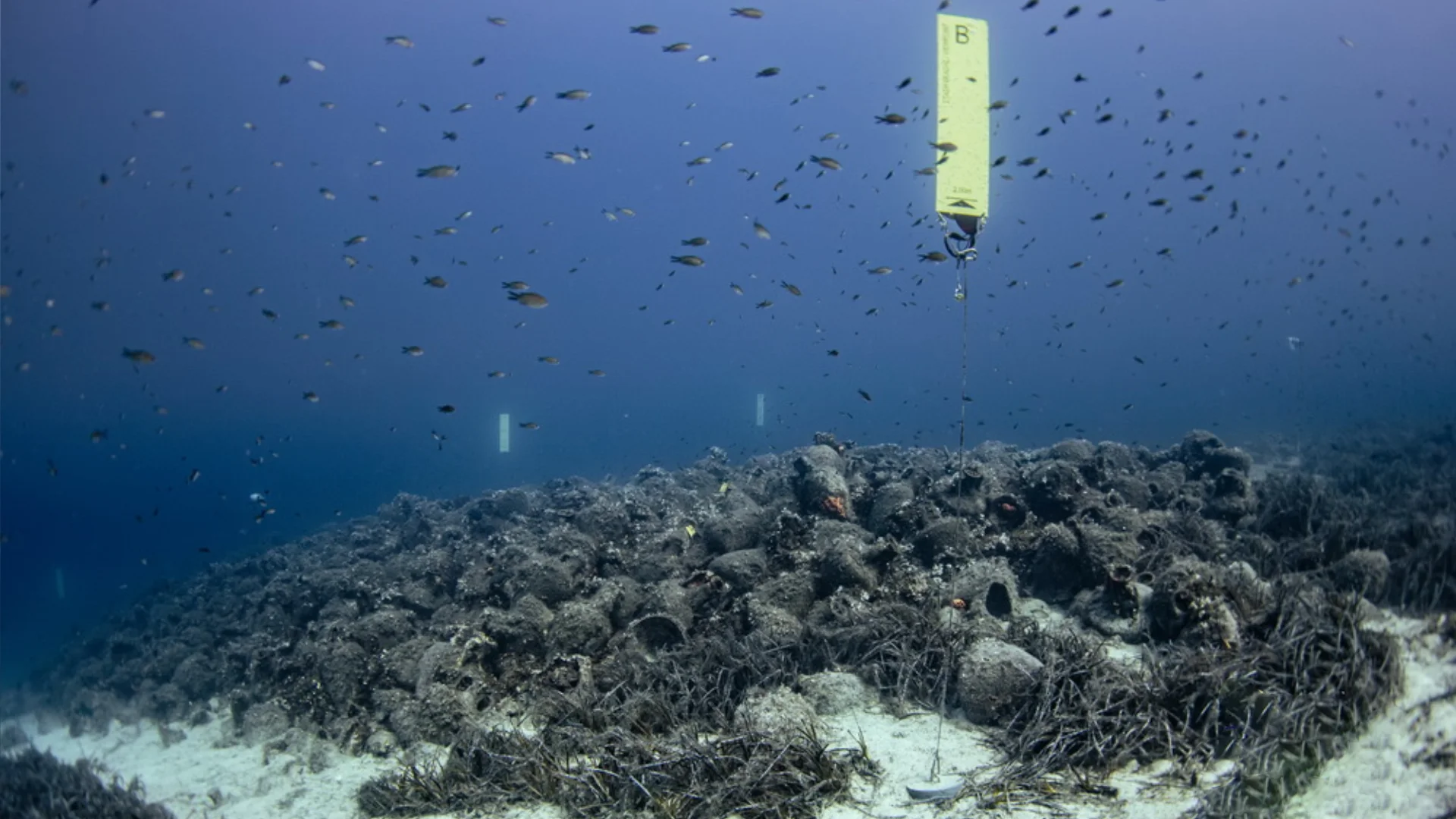 eua-procedures-for-visitors-photo-video