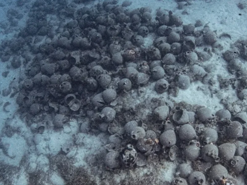 eua-the-project-01 Snowboarding