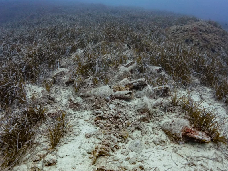 eua-tselios-gallery-03