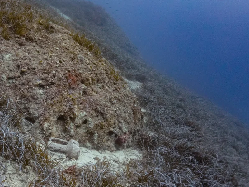 eua-tselios-gallery-05