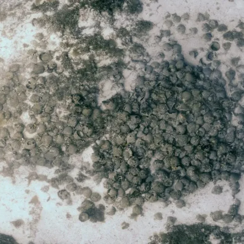 eua-faggrou-photogrammetric-mobile eua-faggrou-photogrammetric-mobile