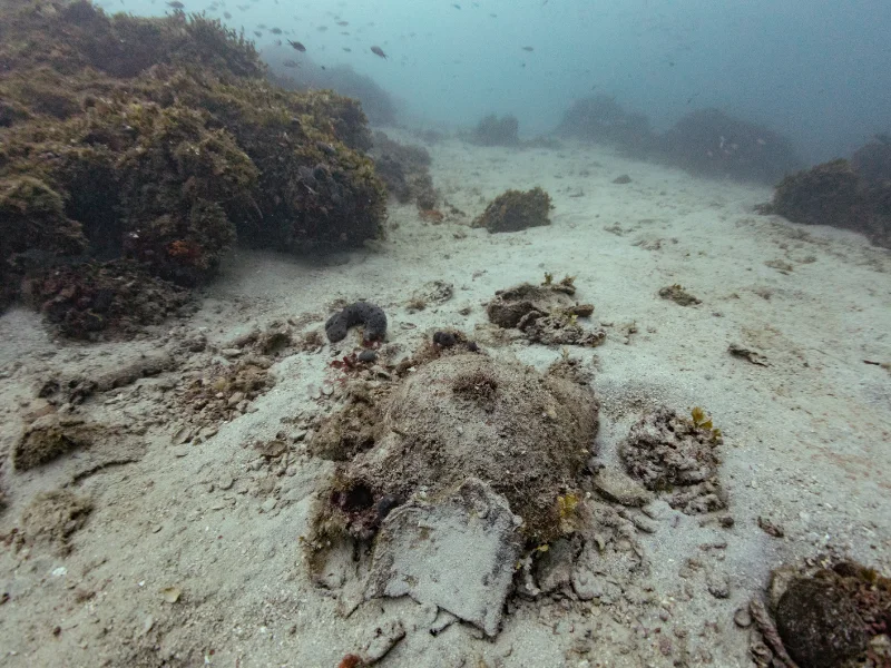 eua-glaros-cargo-amphora-03