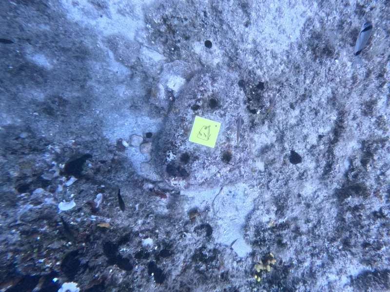 Λίθινη άγκυρα του ναυαγίου στο ακρωτήριο Γλάρος, Δυτικός Παγασητικός Λίθινη άγκυρα του ναυαγίου στο ακρωτήριο Γλάρος, Δυτικός Παγασητικός