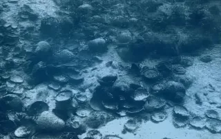 eua-kyra-panagia-shipwreck-1970-expedition-02