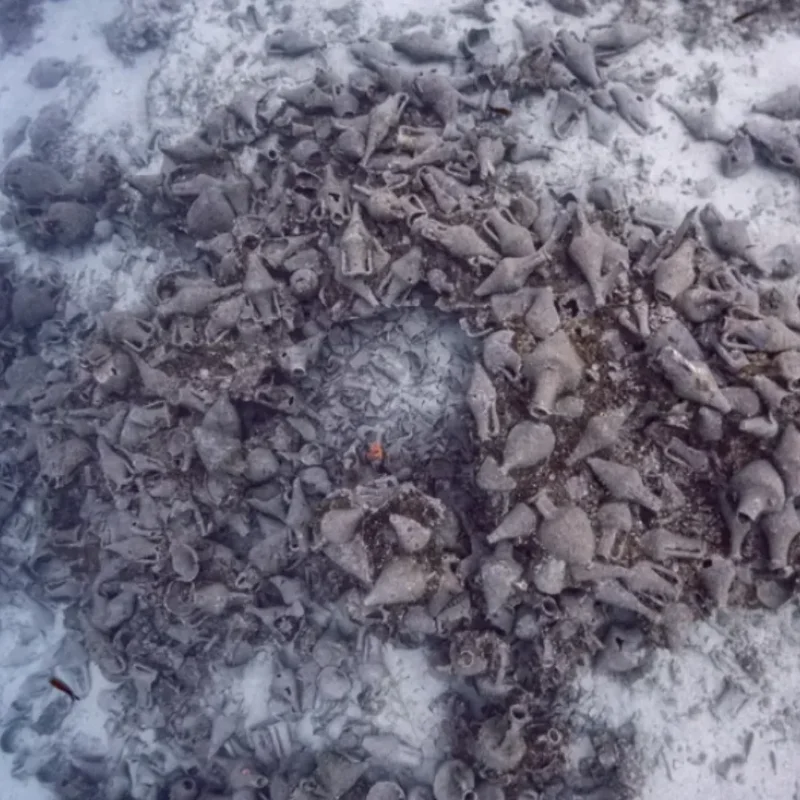 eua-skatzoura-cargo-mobile eua-skatzoura-cargo-mobile