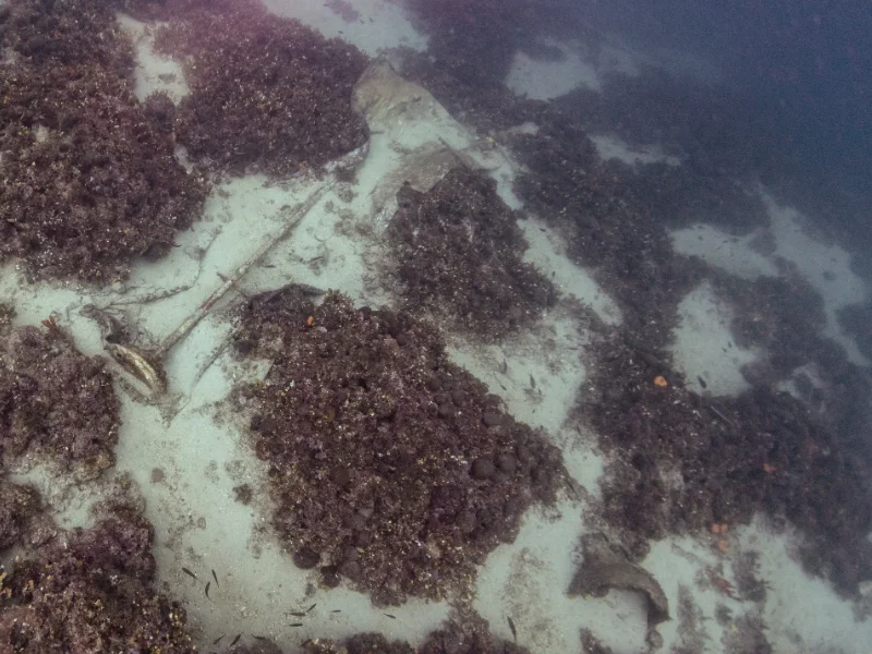 eua-tilegrafos-area-cargo-01