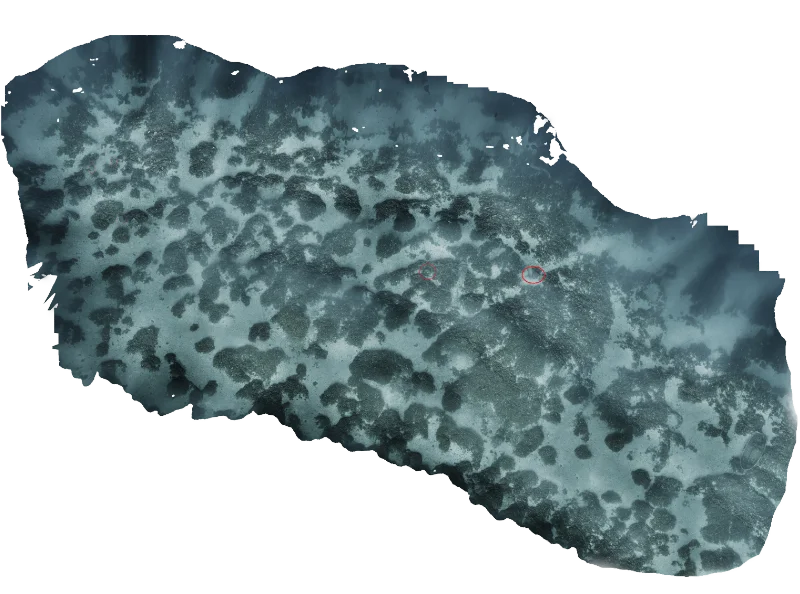 eua-tilegrafos-photomosaic-mobile eua-tilegrafos-photomosaic-mobile