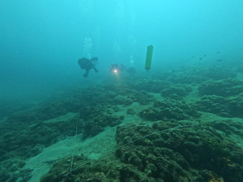 eua-tilegrafos-visitors-group-01