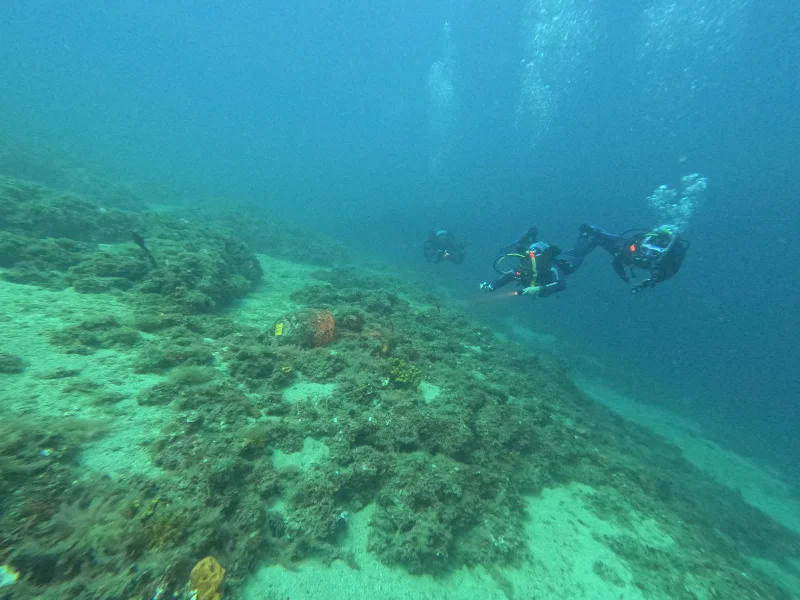 eua-tilegrafos-visitors-group-02