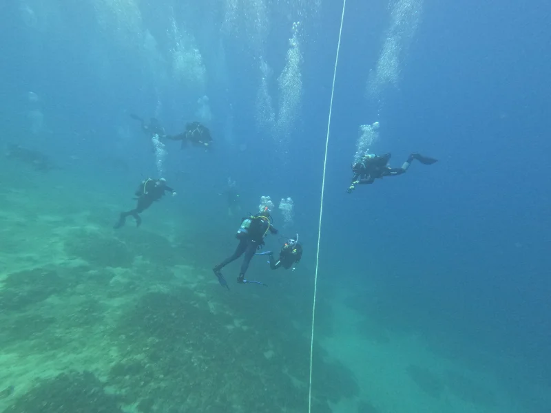 eua-tilegrafos-visitors-group-03