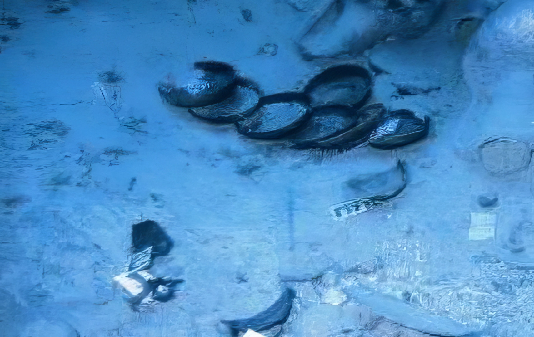 Μελαμβαφή πινάκια στο βυθό (Φωτ. Σ. Πισκαρδέλης)